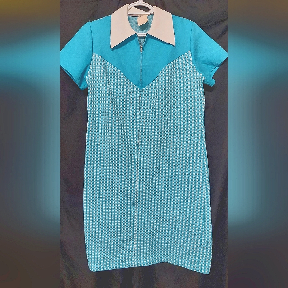 Vintage zip-up the front dress